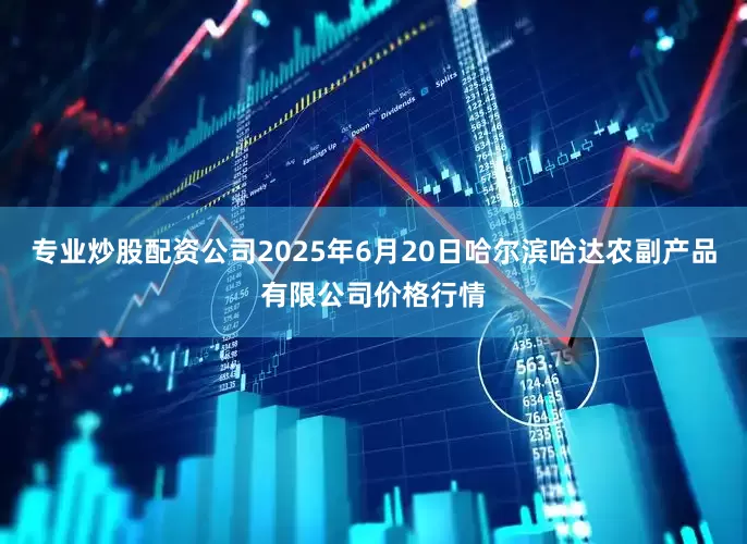 专业炒股配资公司2025年6月20日哈尔滨哈达农副产品有限公司价格行情