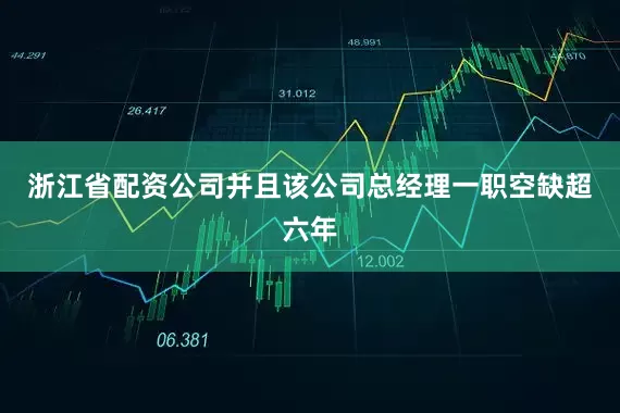 浙江省配资公司并且该公司总经理一职空缺超六年