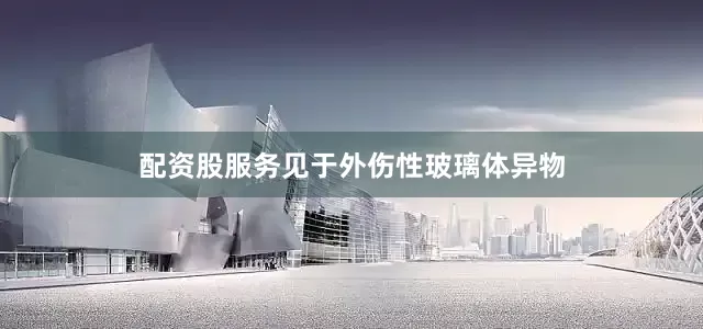 配资股服务见于外伤性玻璃体异物