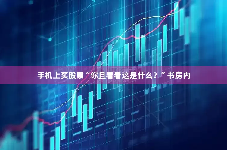 手机上买股票“你且看看这是什么？”书房内